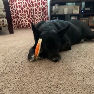 Meet your Posher, Kevin